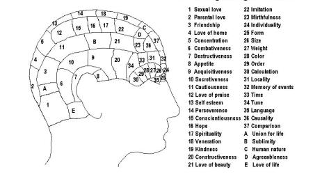 Phrenological Regions on Skull